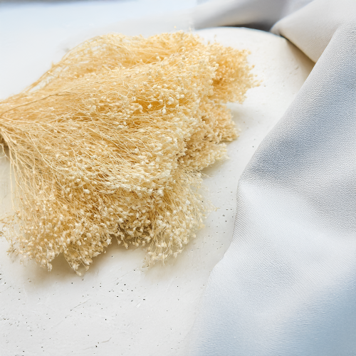 Broom Bloom Bielone zbl1.png