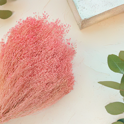 Broom Bloom Rozowe zbl1.png