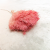 Broom Bloom Rozowe zbl4.png