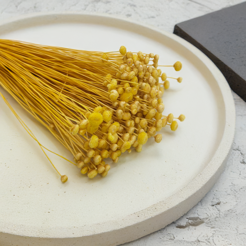 Botao Amarelino Żółte bukiet zbl.png