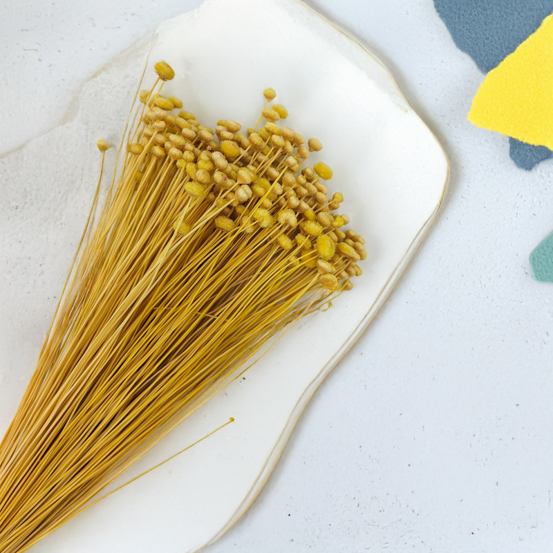 Botao Amarelino Żółte bukiet zbl1.png