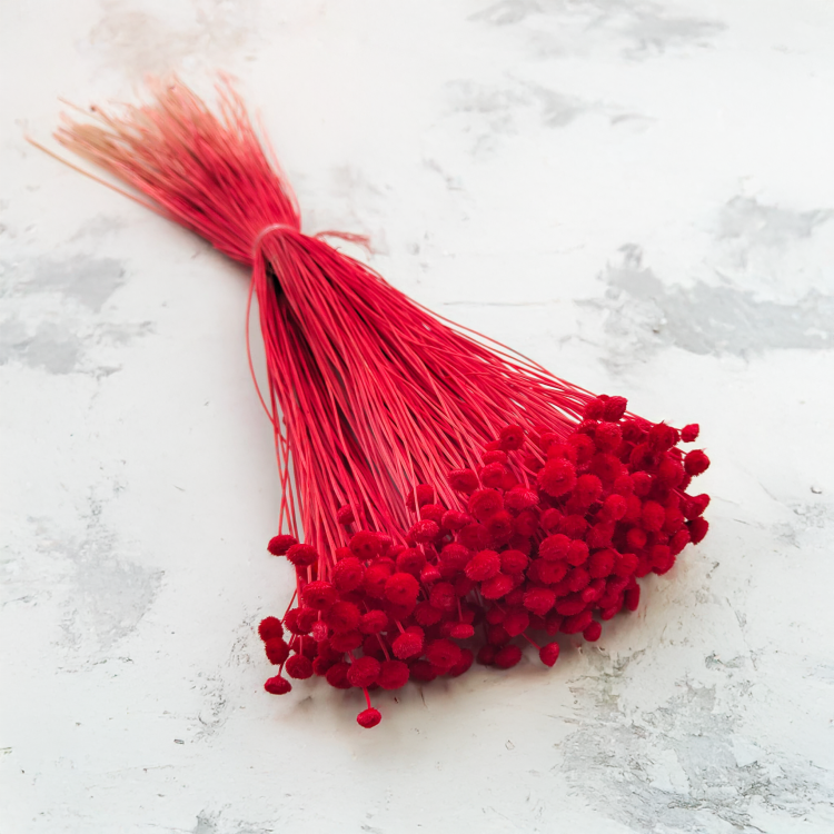 Botao Amarelino Czerwone bukiet zbl2.png