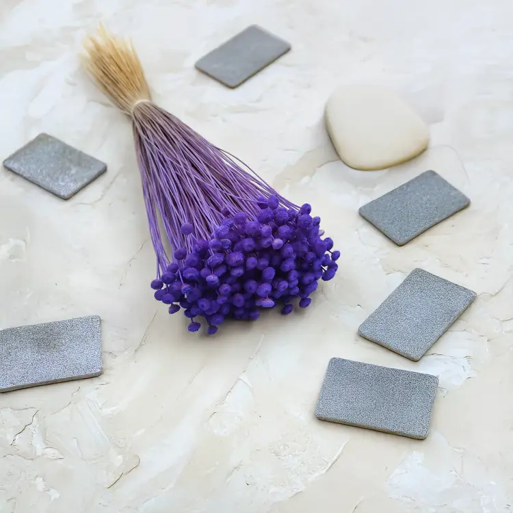 Botao Amarelino chabrowe bukiet zbl4.png