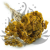 Krwawnik zółty naturalny suszony achillea okl.png