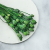 Papaver2.png