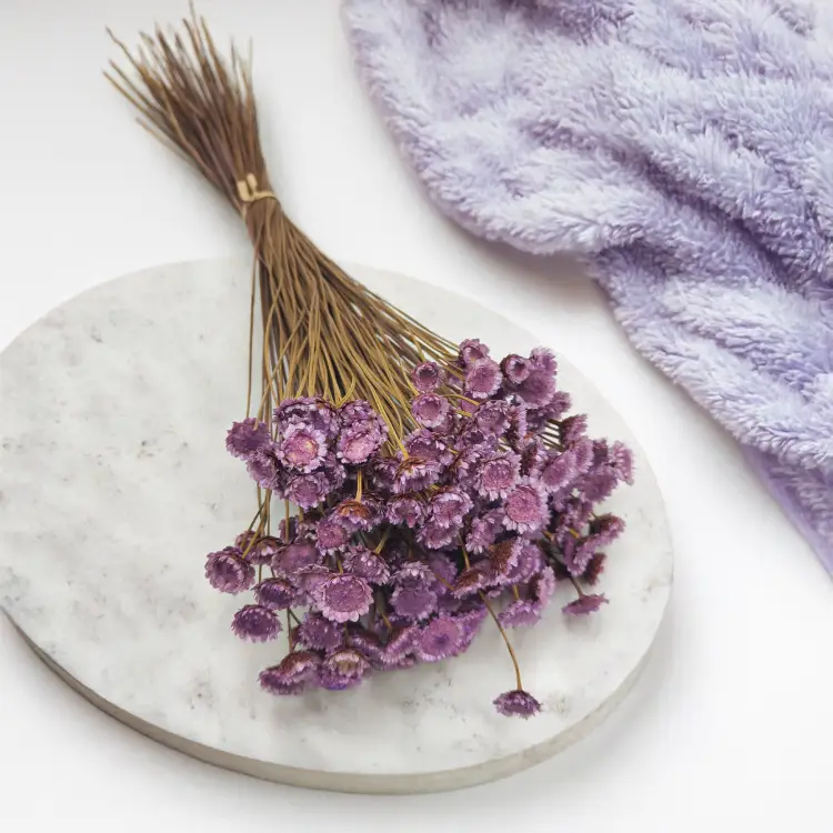 Glixia BIG Lawendowa_892.png