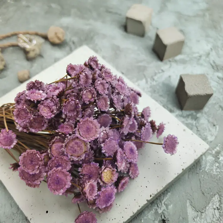 Glixia BIG Lawendowa_893.png