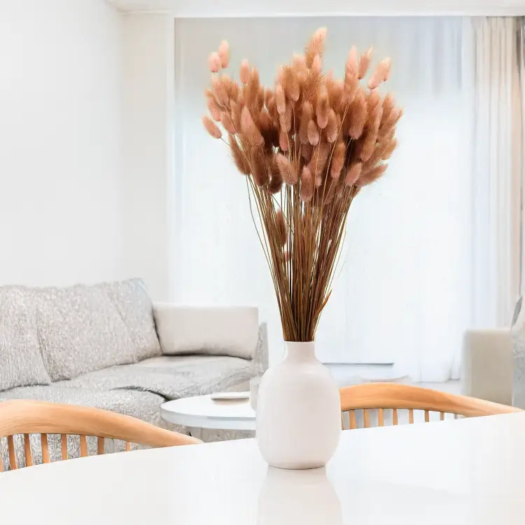 Lagurus Suszony dmuszek jajowaty Antyczny roz 1.png