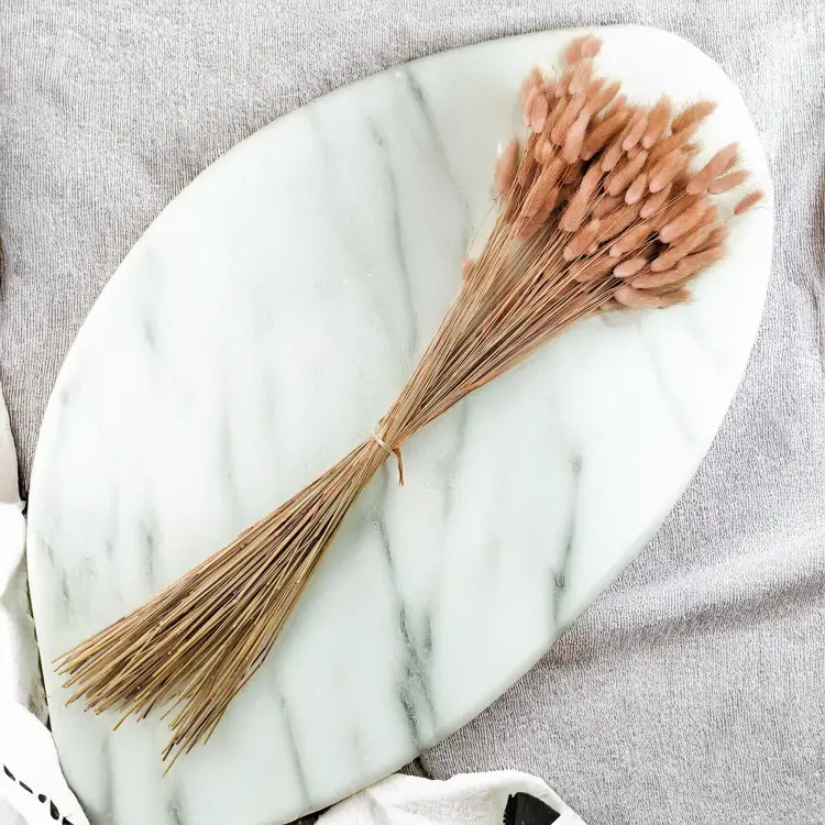 Lagurus Suszony dmuszek jajowaty Antyczny roz2.png