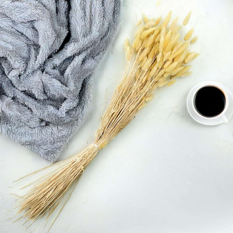 Lagurus Suszony dmuszek jajowaty Kremowy 5.png