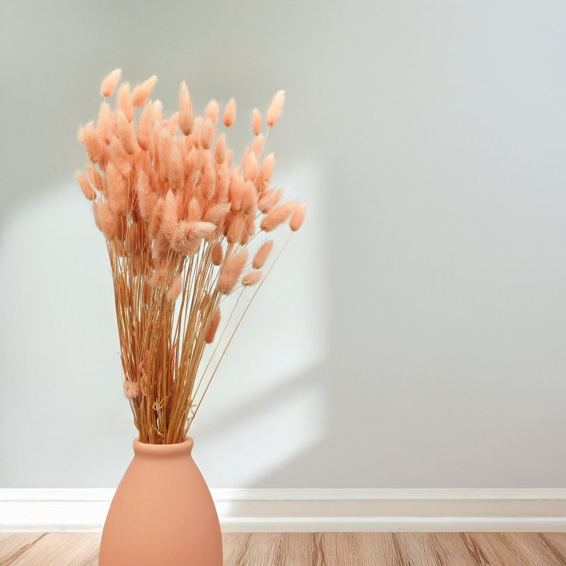 Lagurus Suszony dmuszek jajowaty Łososiowy 2.png