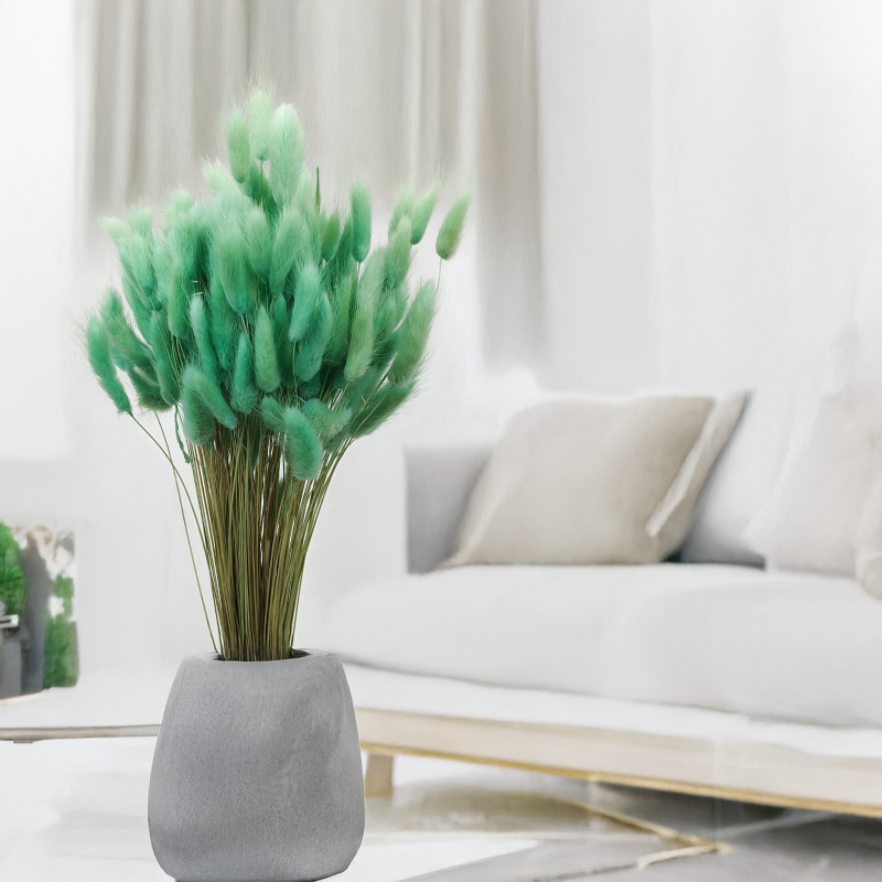 Lagurus Suszony dmuszek jajowaty mietowy.png