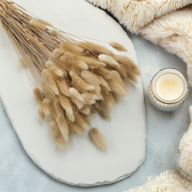 Lagurus Suszony dmuszek jajowaty Naturalny 6.png