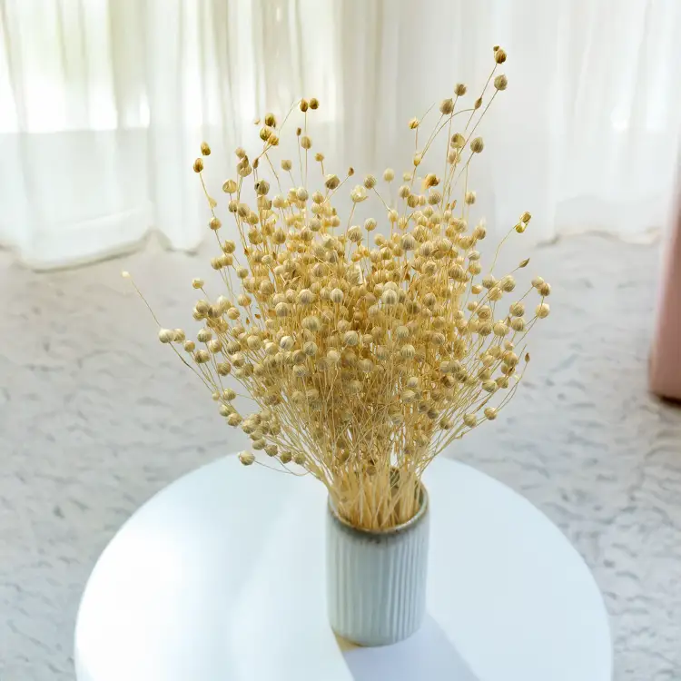 Len Suszony - Bielony 2.png