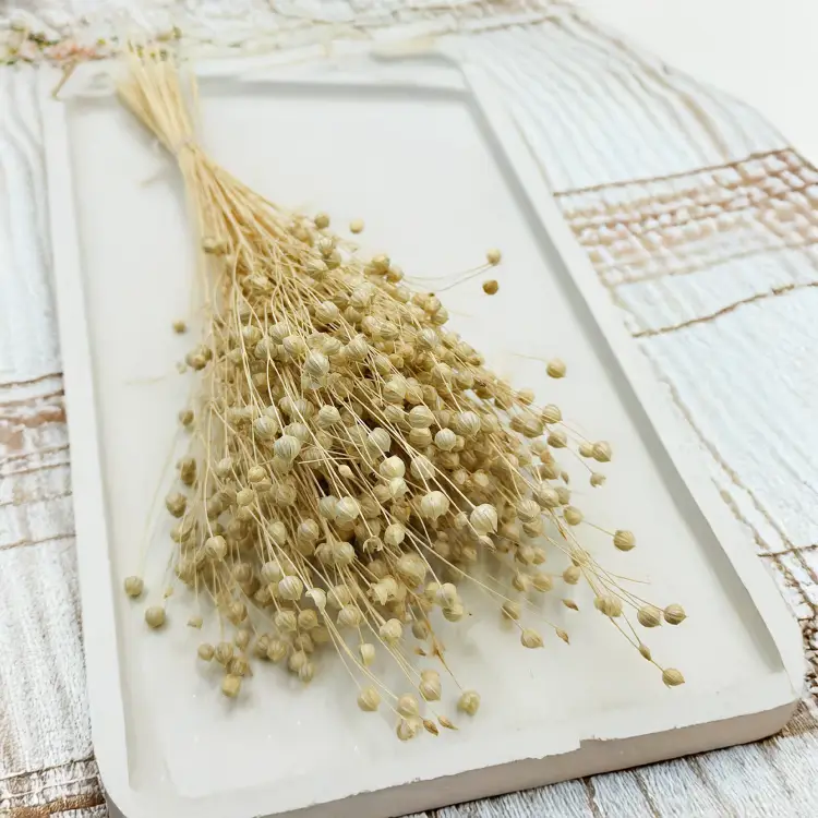 Len Suszony - Bielony 6.png