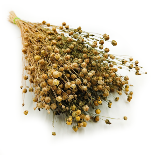 Len Suszony - Naturalnyokl.png