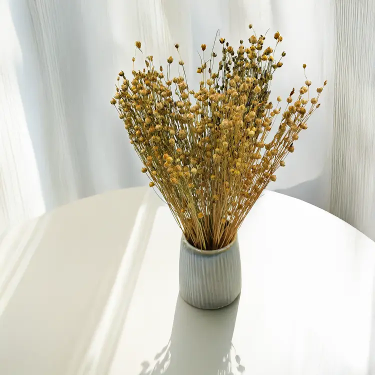 Len Suszony - Naturalny 4.png