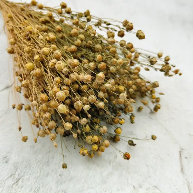 Len Suszony - Naturalny.png