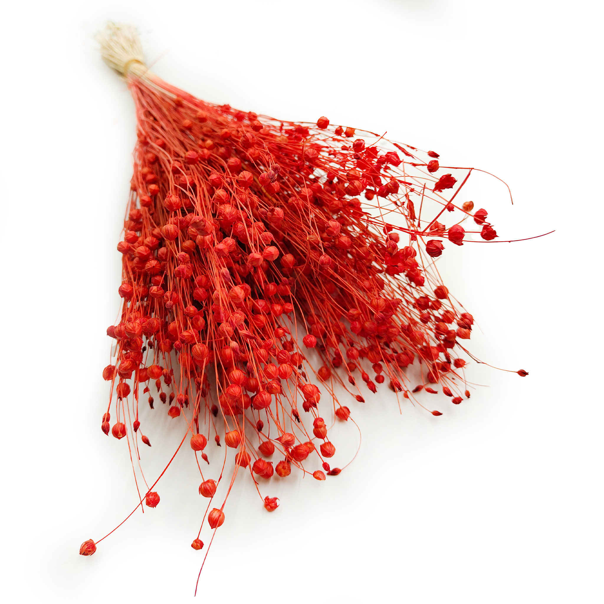 Lin Séché – Orange