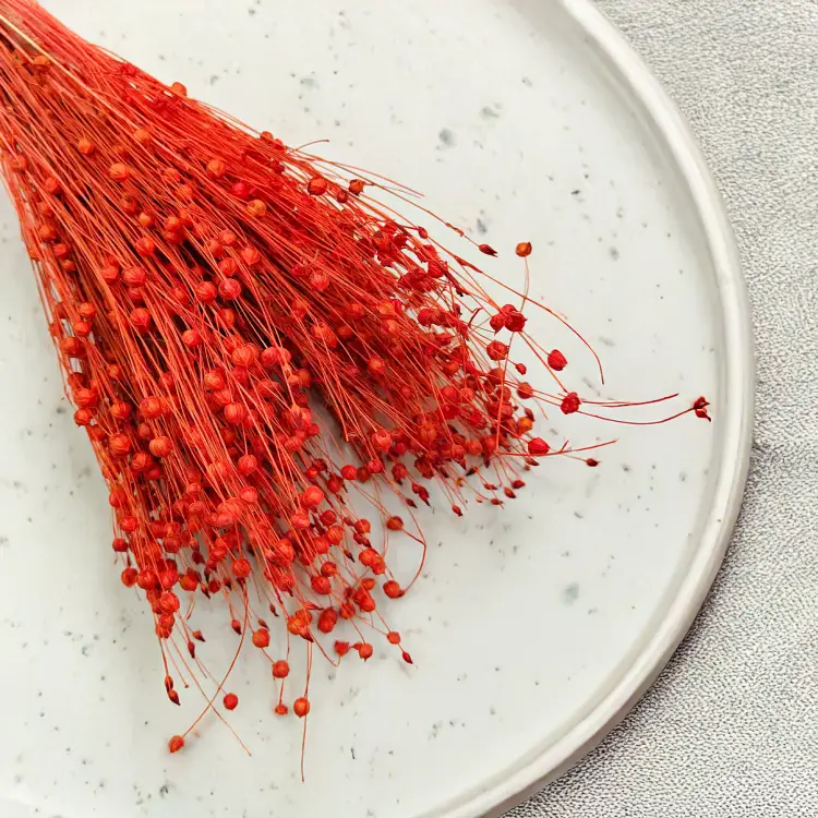 Len Suszony - Pomaranczowy 4.png