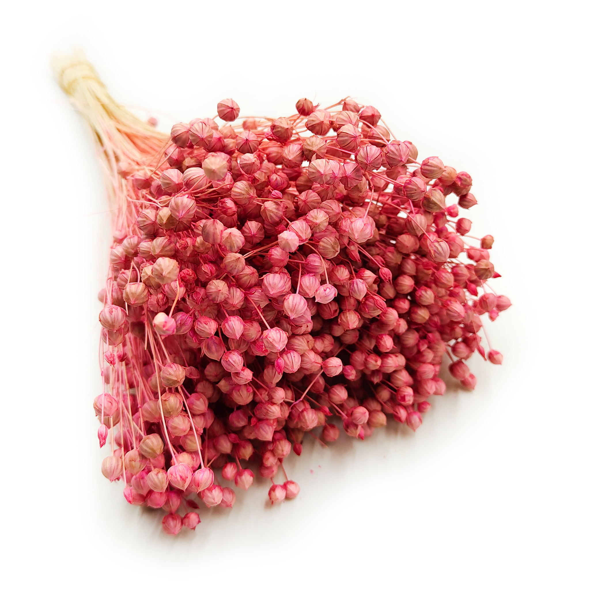 Lin Séché – Rose