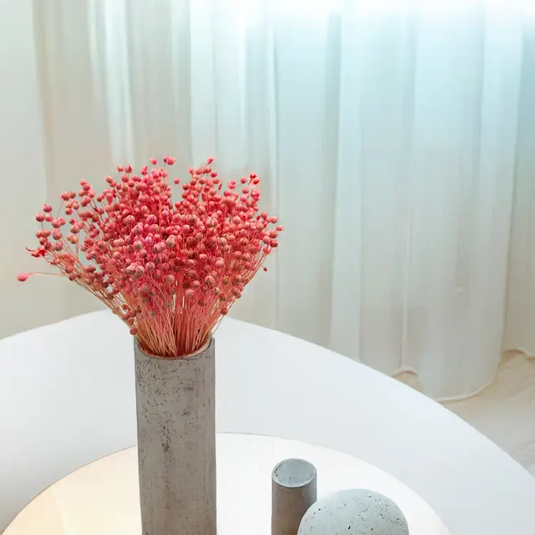 Len Suszony - Rozowy 1.png