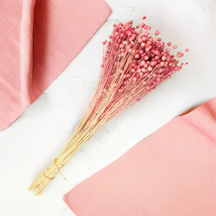 Len Suszony - Rozowy 4.png