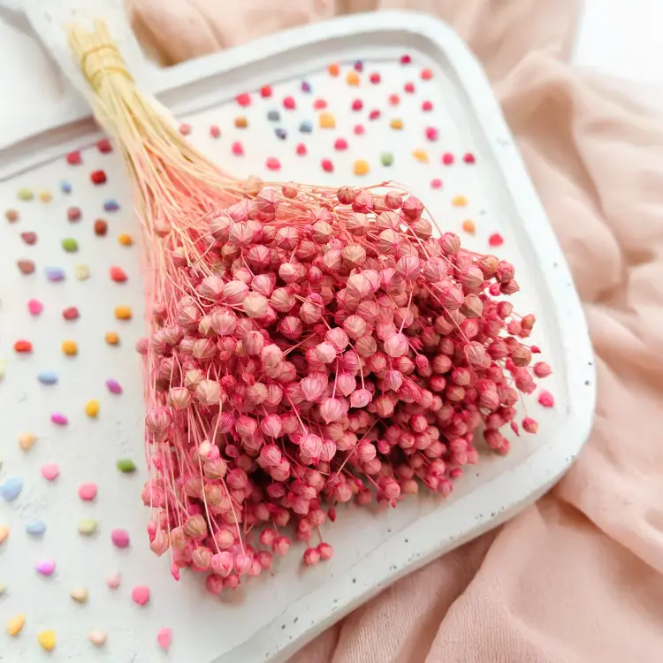 Len Suszony - Rozowy 5.png