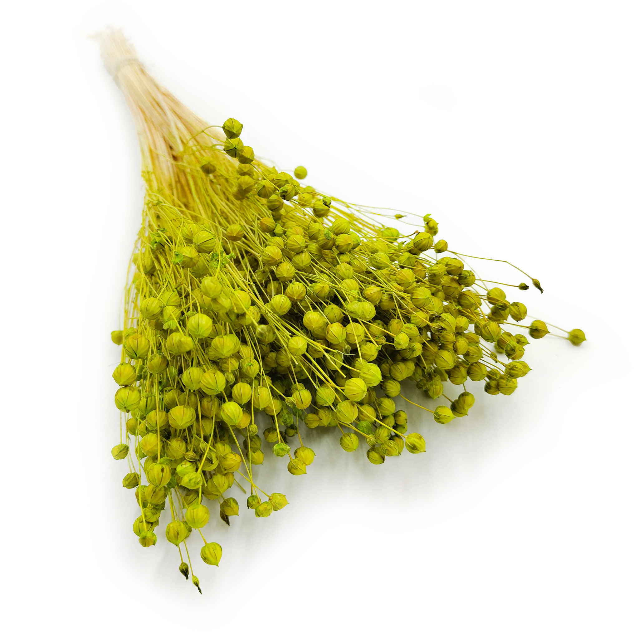 Lin Séché – Vert