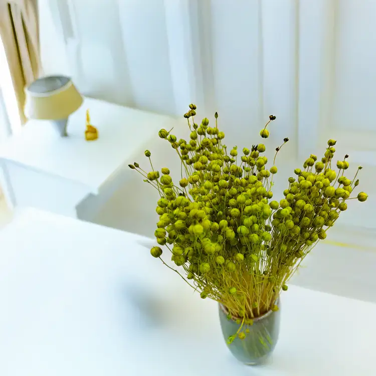 Len Suszony - Seledynowy 1.png