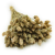Suszony Phalaris - Kanar - (Mozga kanaryjska) - Naturalny 3.png