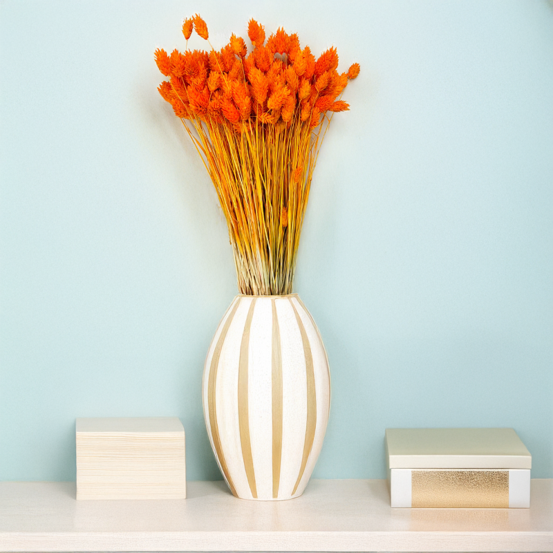 Kanar Phalaris Mandarynka 1.png