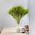 Broom Bloom zielony 4.jpg