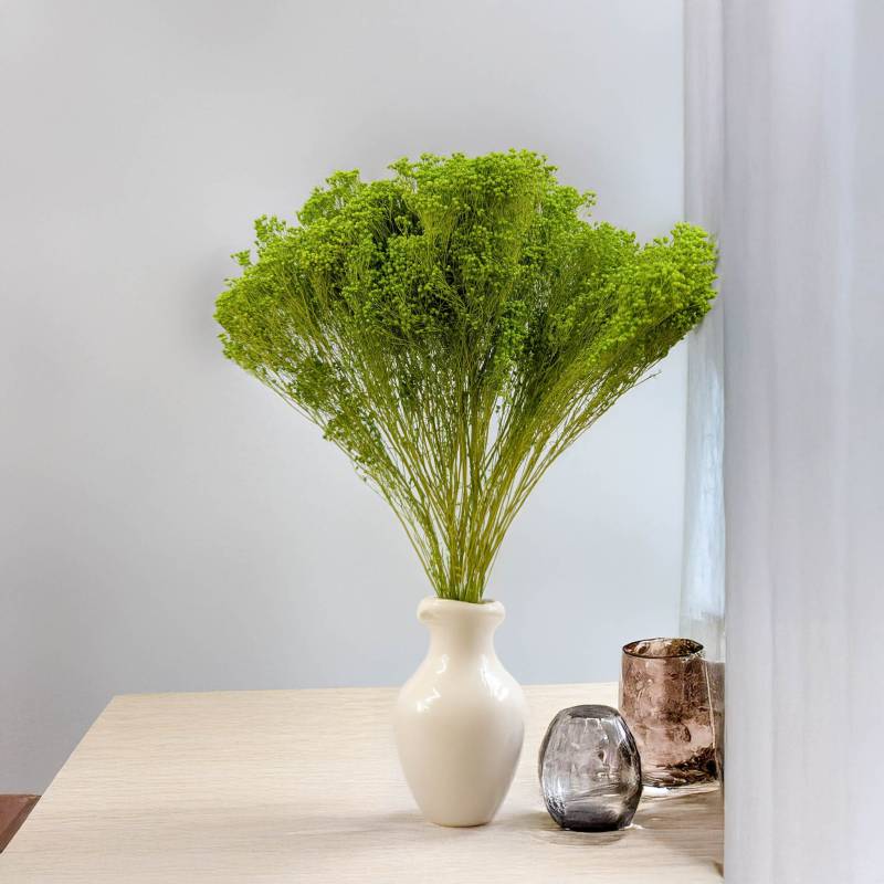 Broom Bloom zielony 4.jpg