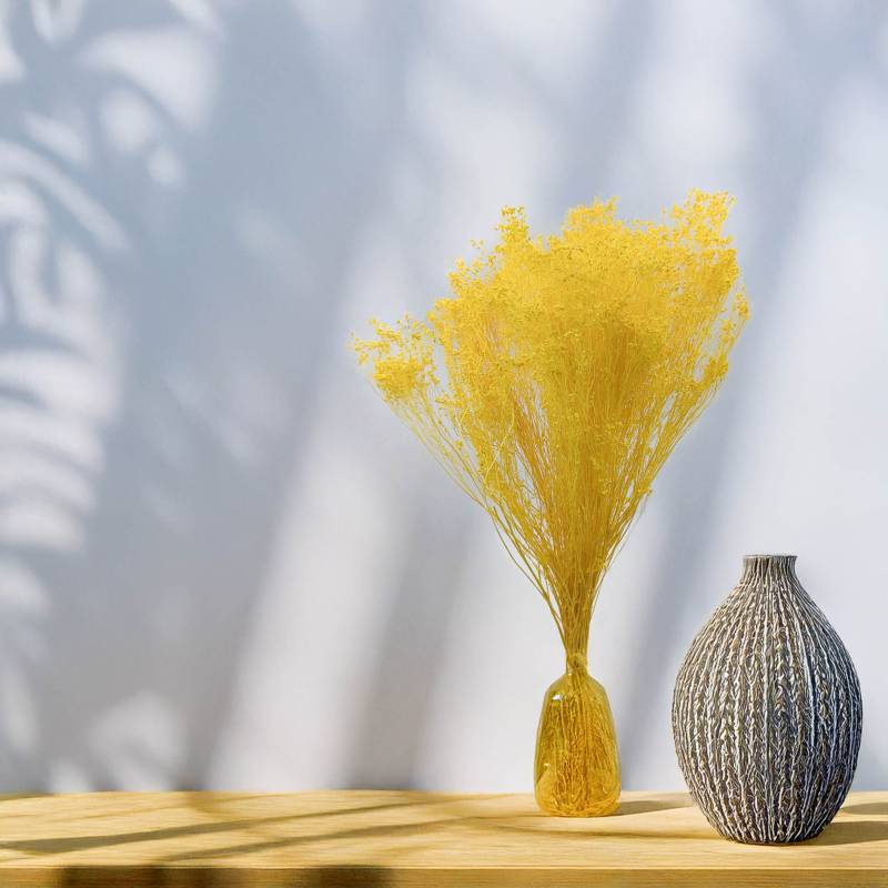 Broom Bloom żółty 5.jpg