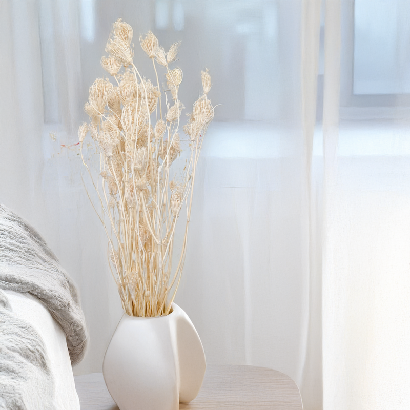 Koper włoski bielony suszony fennel 4.png