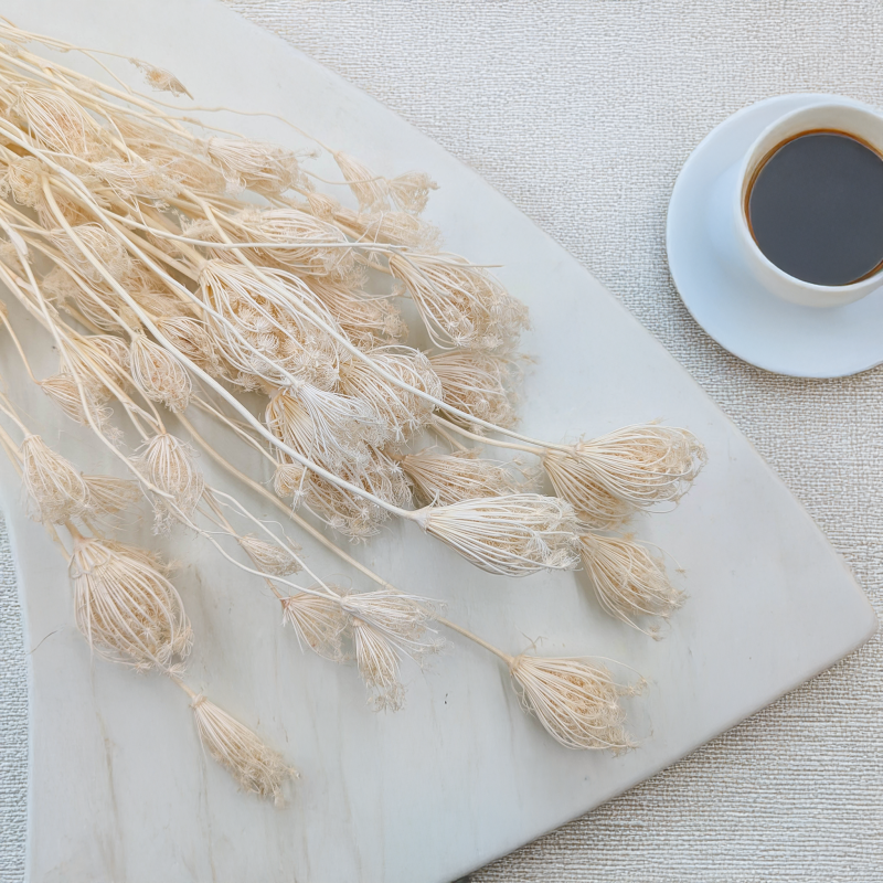 Koper włoski bielony suszony fennel 1.png