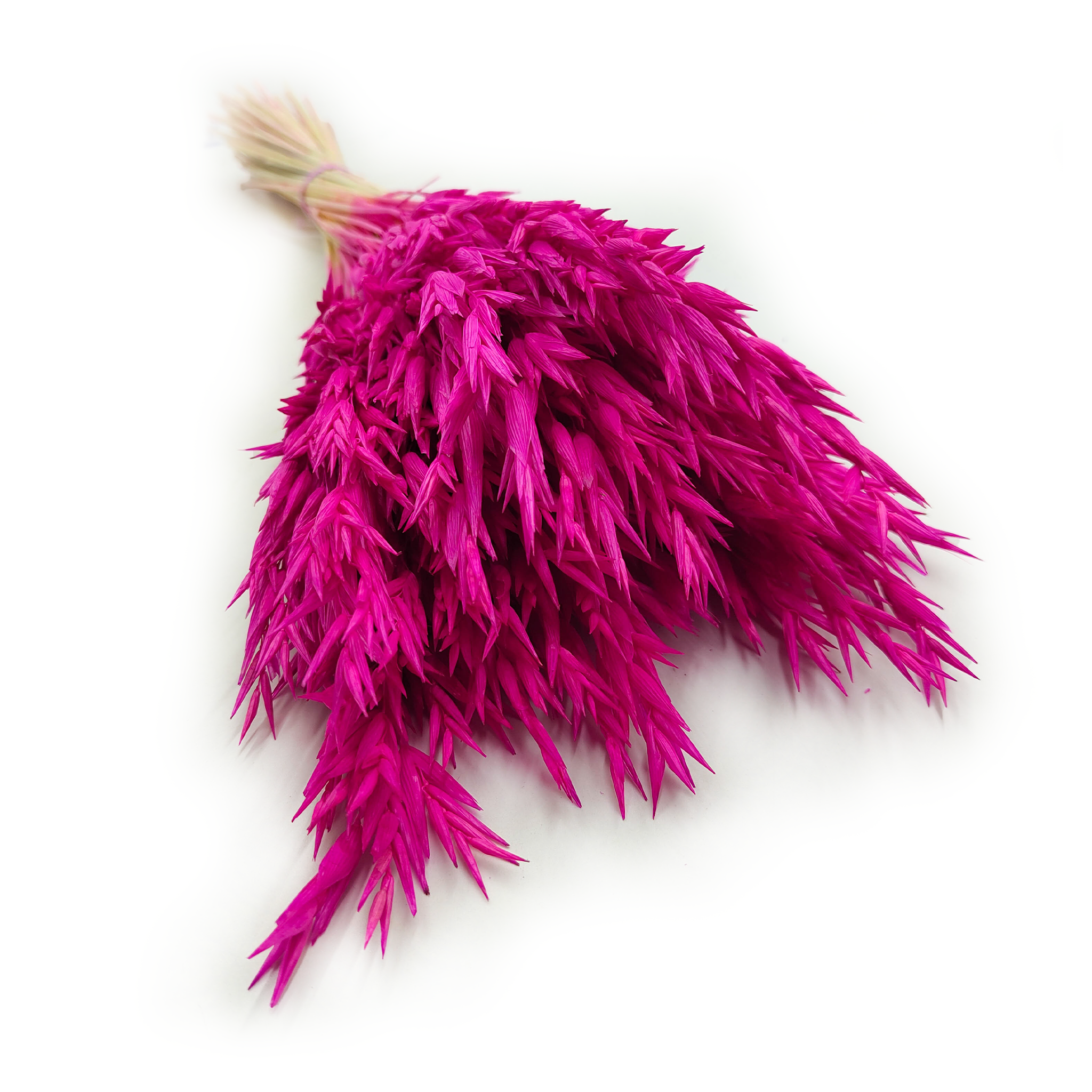 Avoine Séchée – Amarante