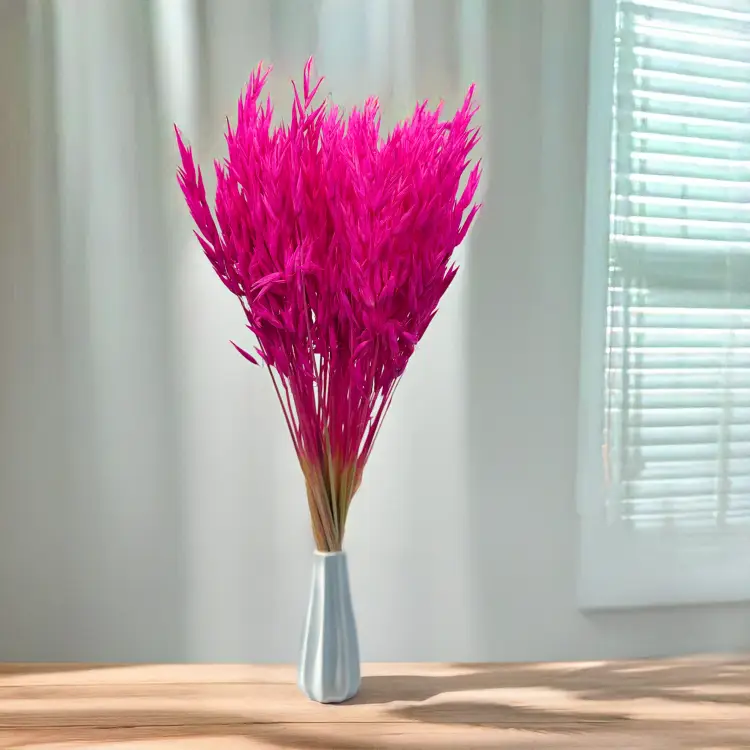 Owies suszony amarantowy 3.png