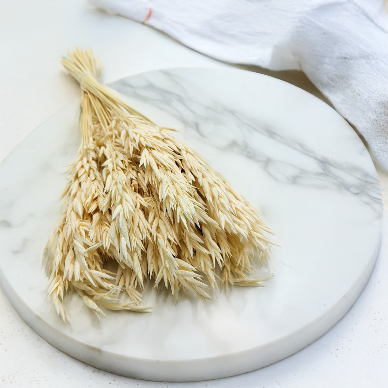 Owies susozny bielony.png