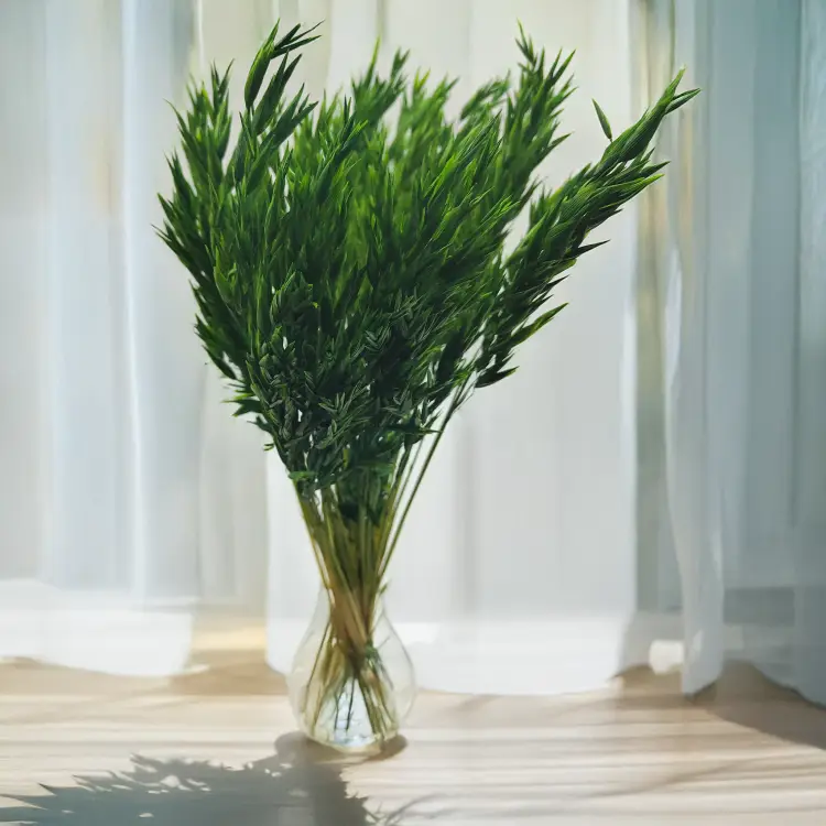 Owies suszony butelkowa zieleń 3.png