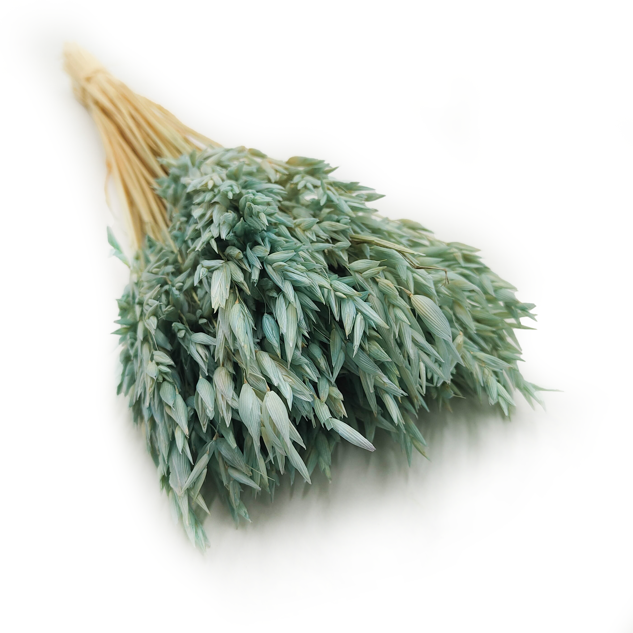 Avoine Séchée – Menthe 