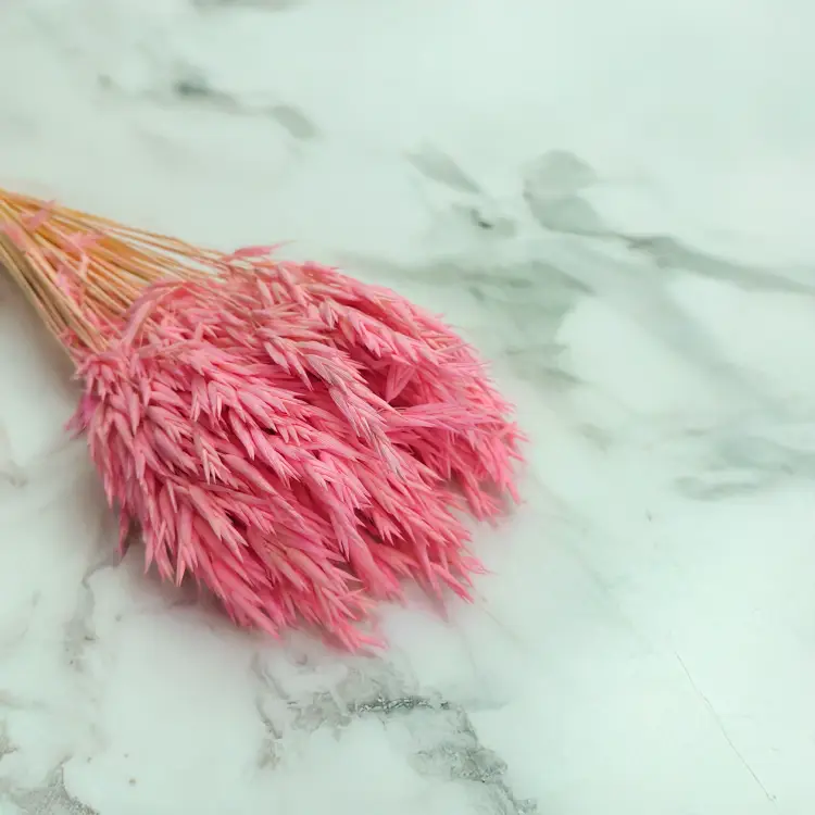 Owies suszony różowy 3.png