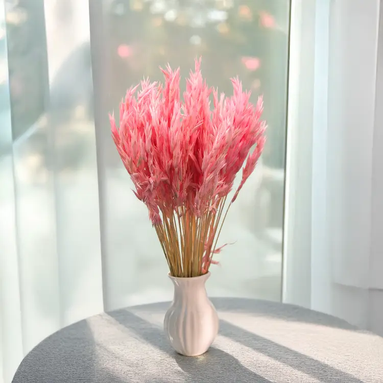 Owies suszony różowy 4.png