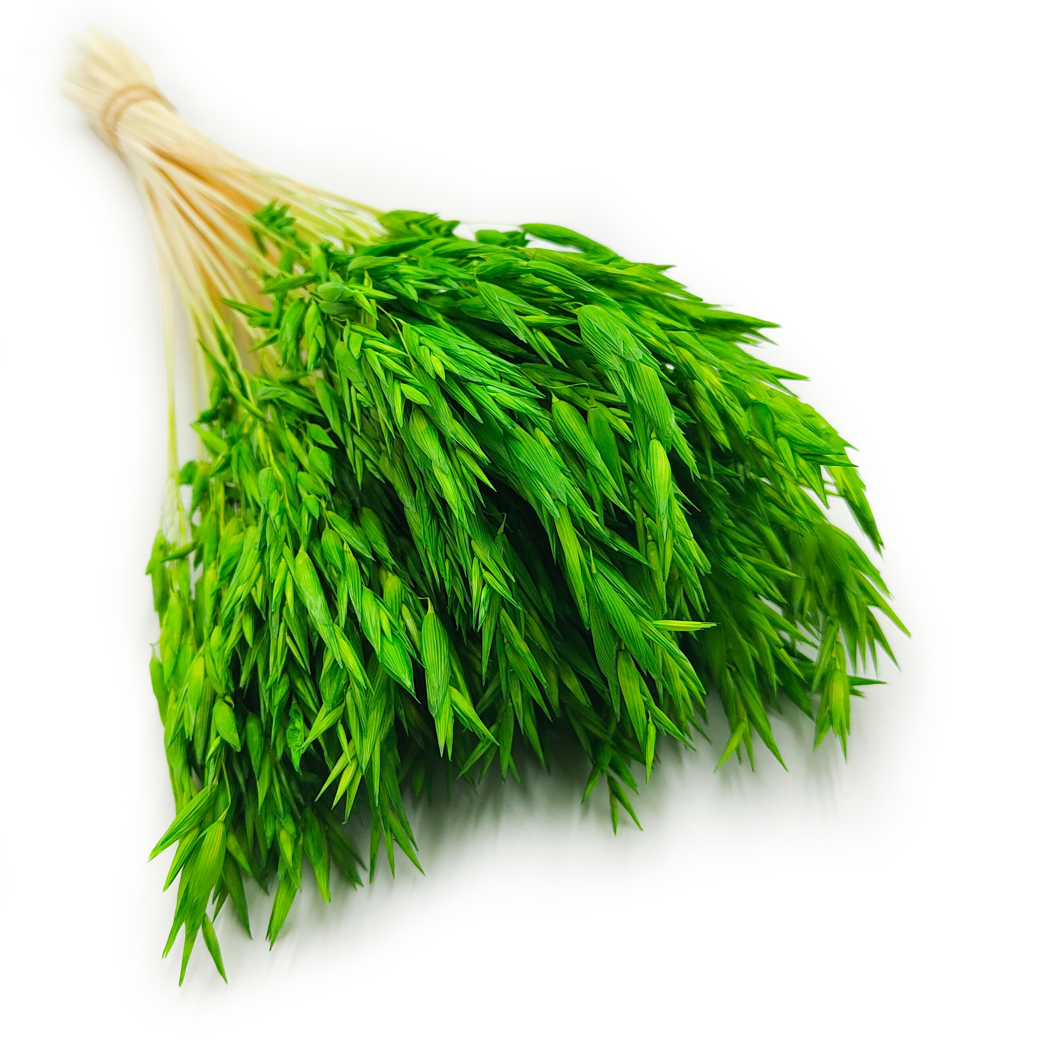 Avoine séchée – Verte