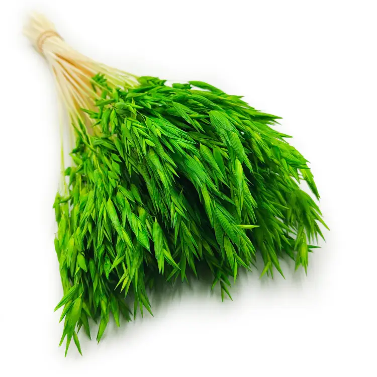 Owies zielony suszony 5.png