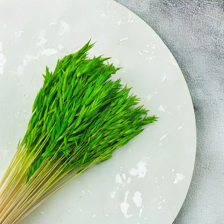 Owies zielony suszony 3.png