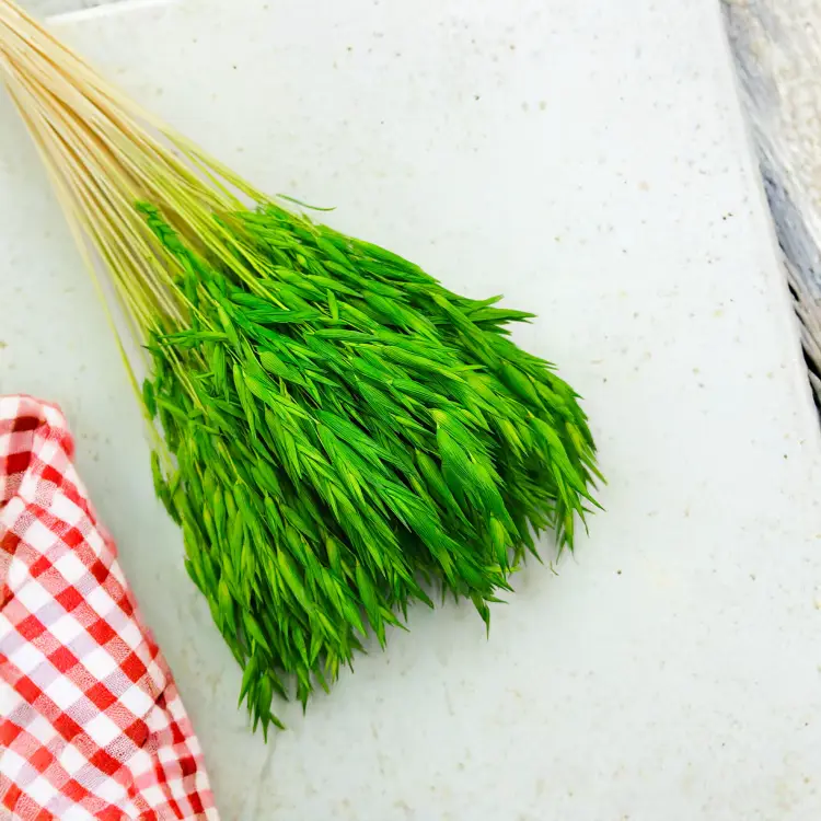 Owies zielony suszony 4.png