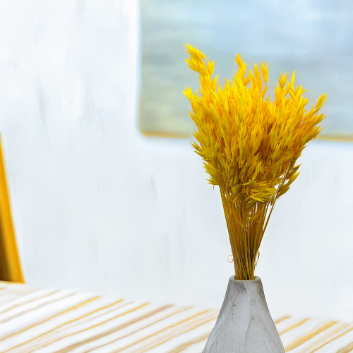 Owies żółty  suszony barwiony kłosy bukiet.png