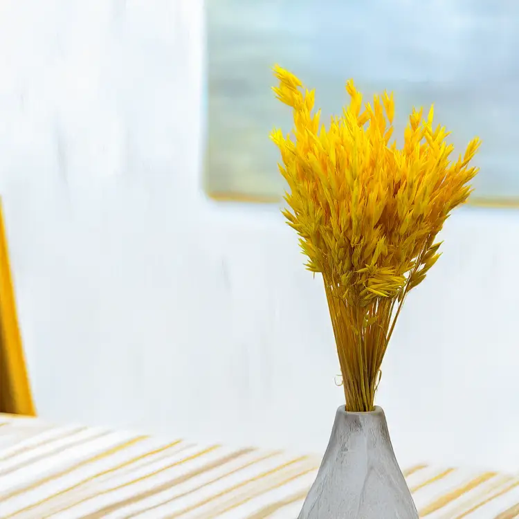 Owies żółty  suszony barwiony kłosy bukiet.png